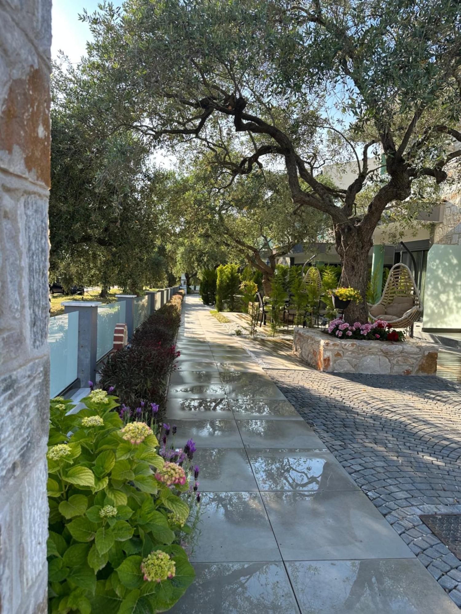 Danielli Luxury Villas Skala Rachoni  Exteriör bild